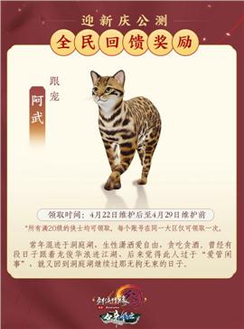 天龙八部私服江山